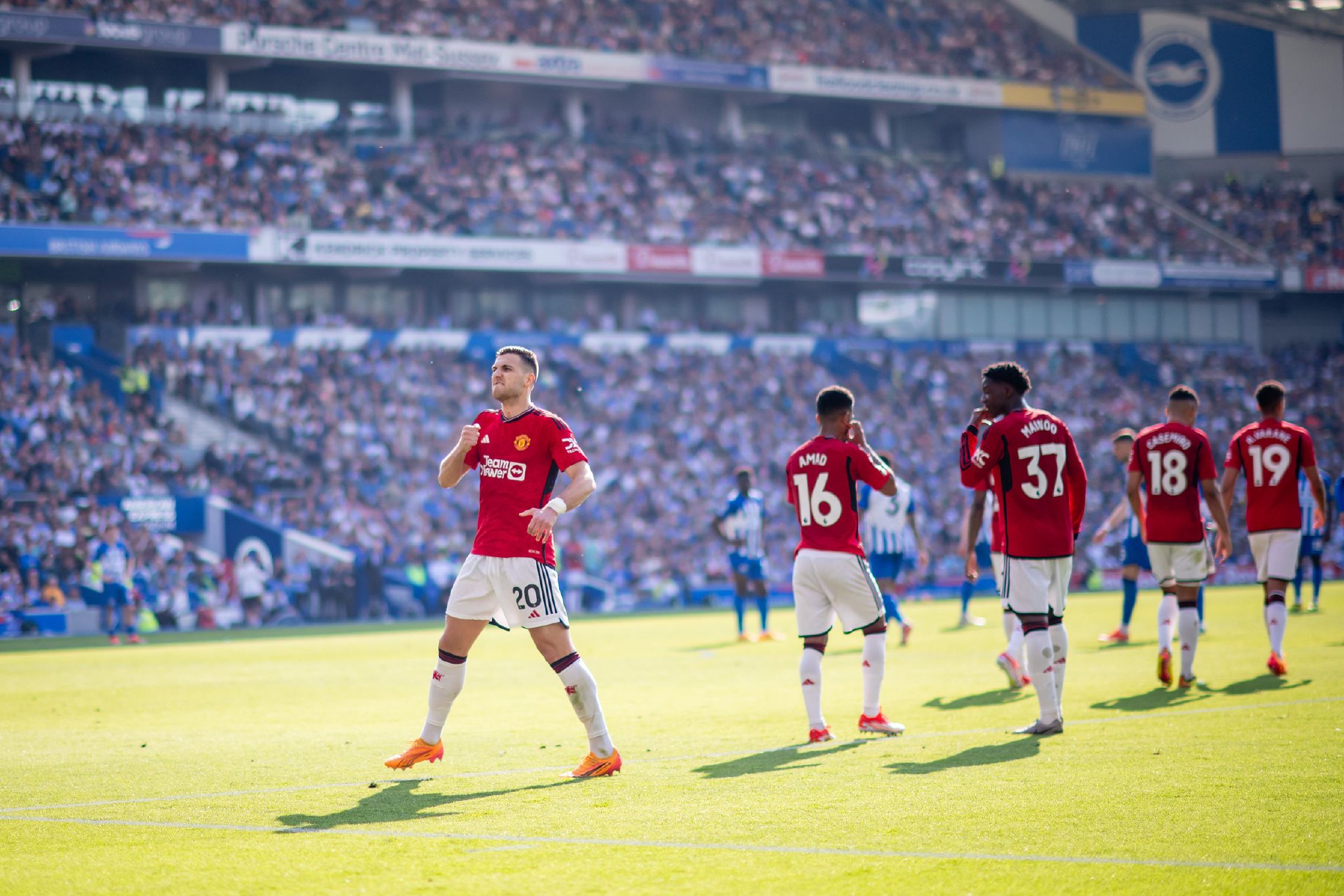 哈兰德在门 哈兰德在门